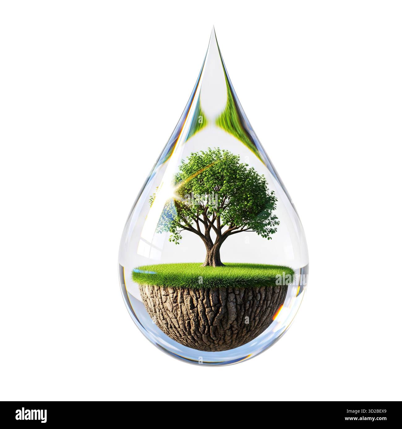 Green Tree Inside Water Droplet symbole de la conservation de la nature et de la protection de l'environnement Banque D'Images