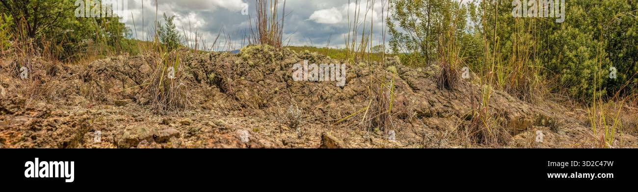 La formation de pierre et l'érosion du sol désertique ; composite panoramique capturé dans le désert de la Candelaria, dans les montagnes andines orientales Banque D'Images