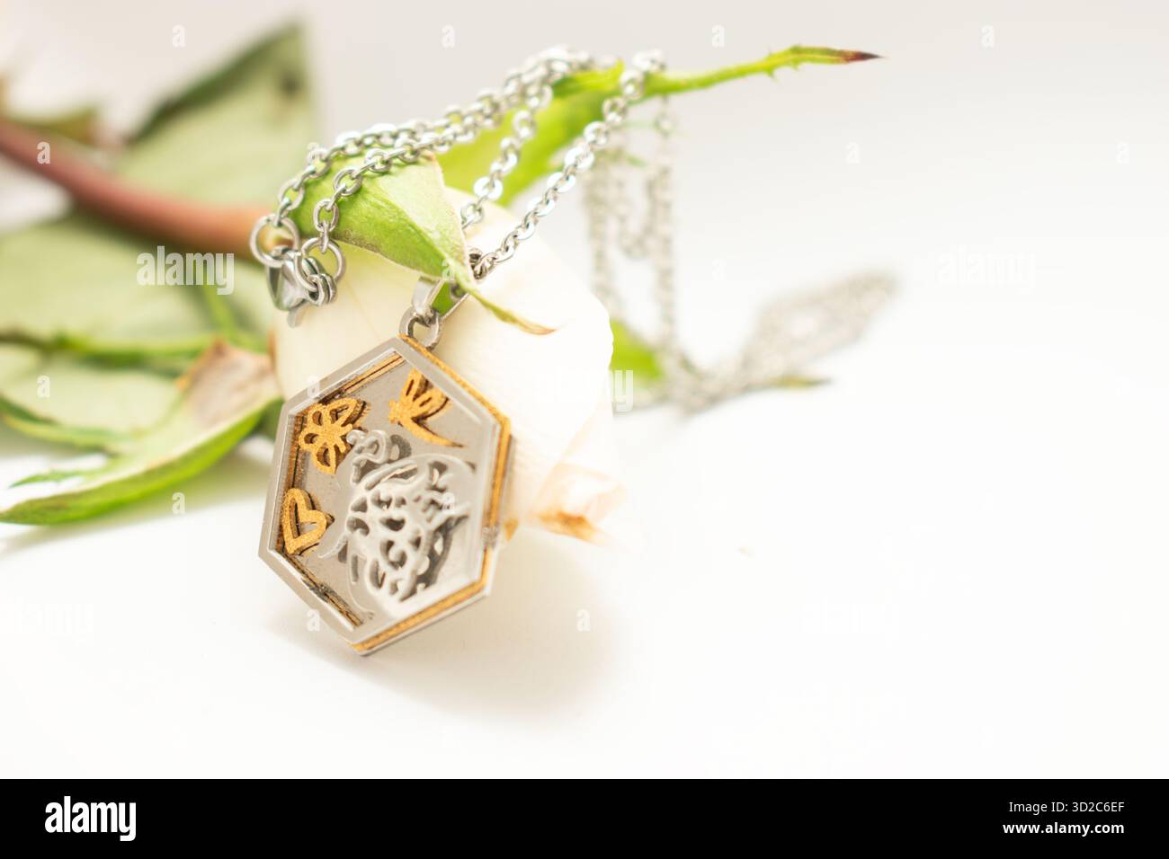 Bijoux inspirés de la nature avec des feuilles Banque D'Images