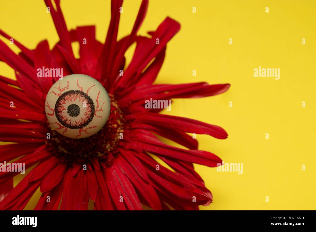 Fleur rouge avec centre de l'œil Banque D'Images
