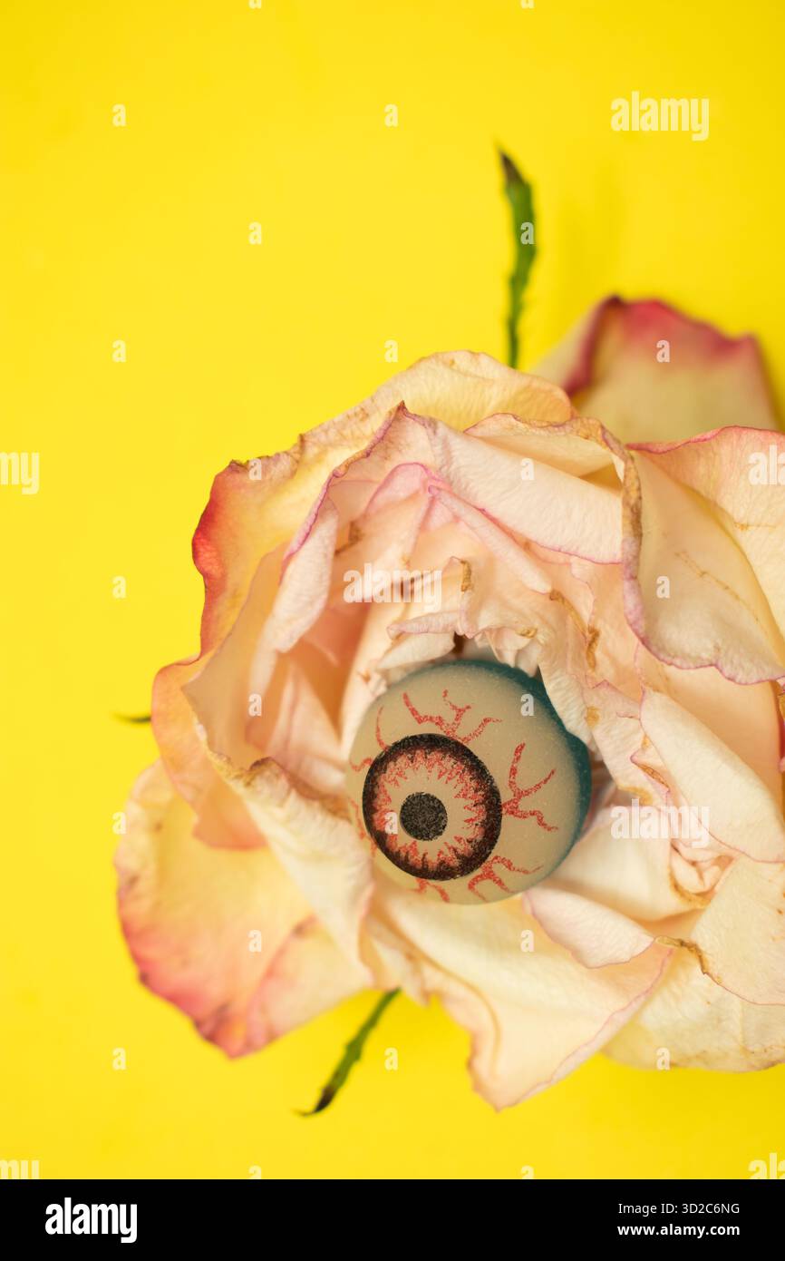 Oeil surréaliste dans une rose sur fond jaune Banque D'Images