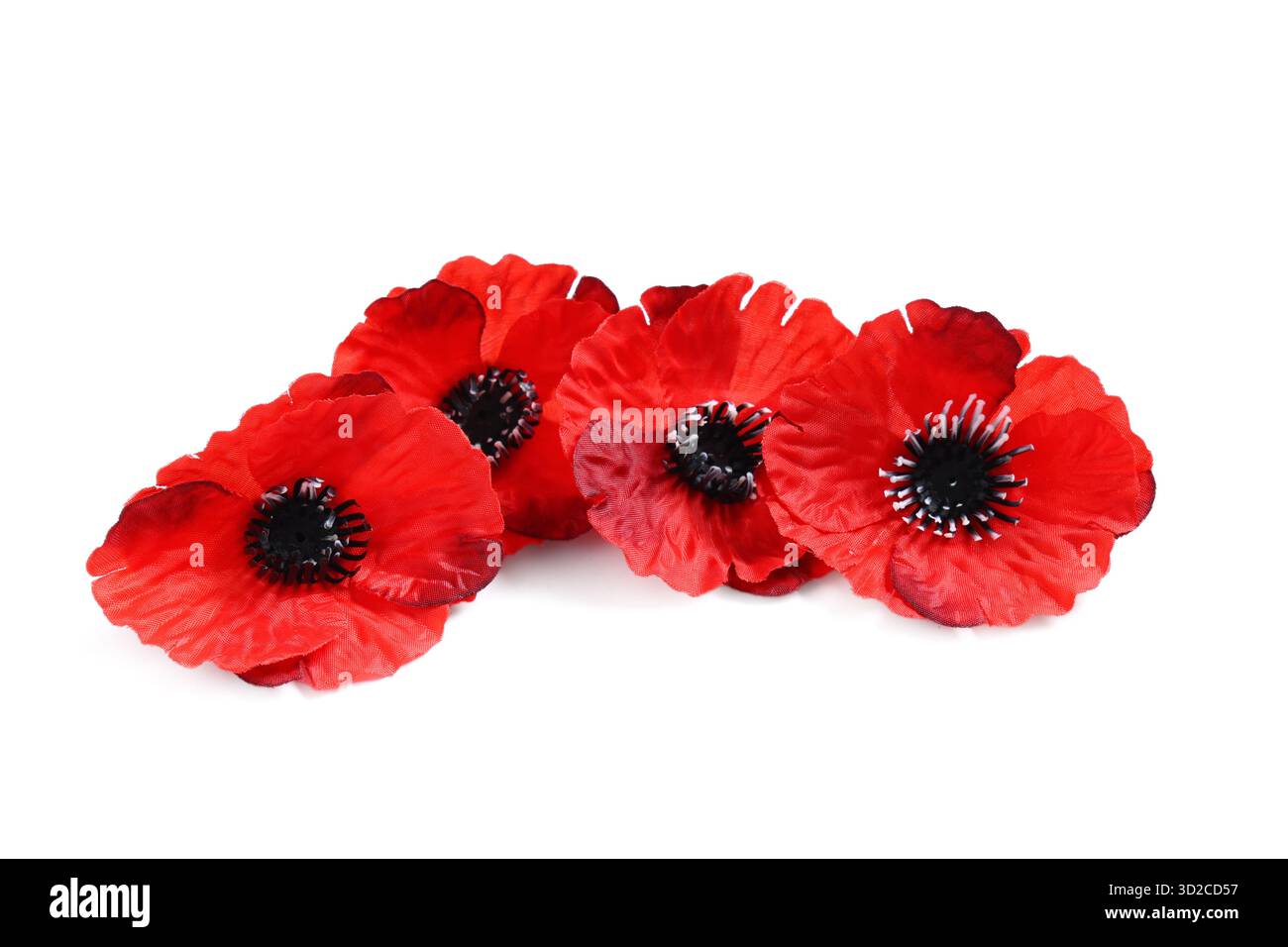 Fleurs de pavot sur fond blanc. Jour du souvenir Banque D'Images