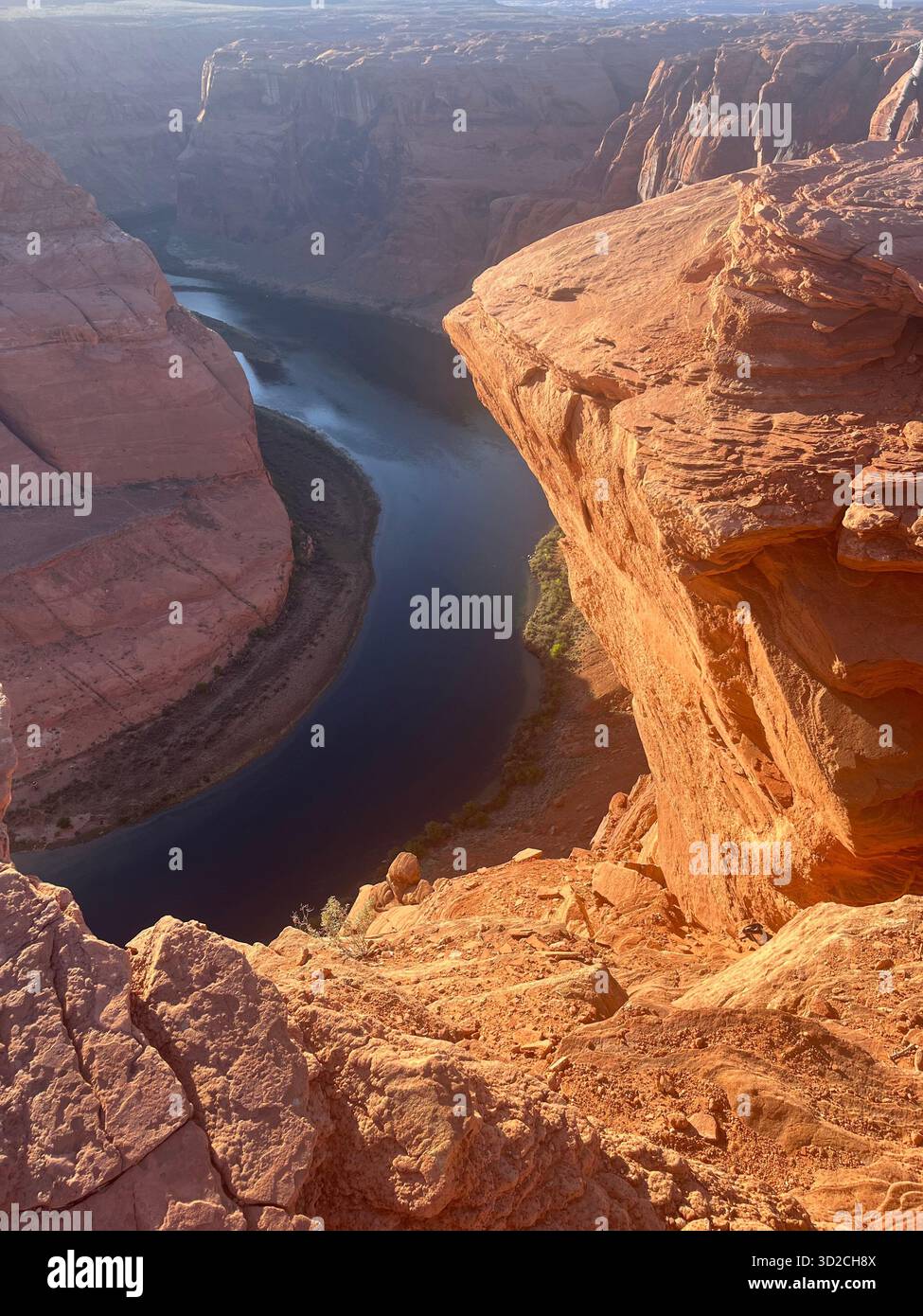 Grand Canyon : paysage désertique, plantes à fleurs, falaises de grès et rivière - Image de stock capturée avec un smartphone