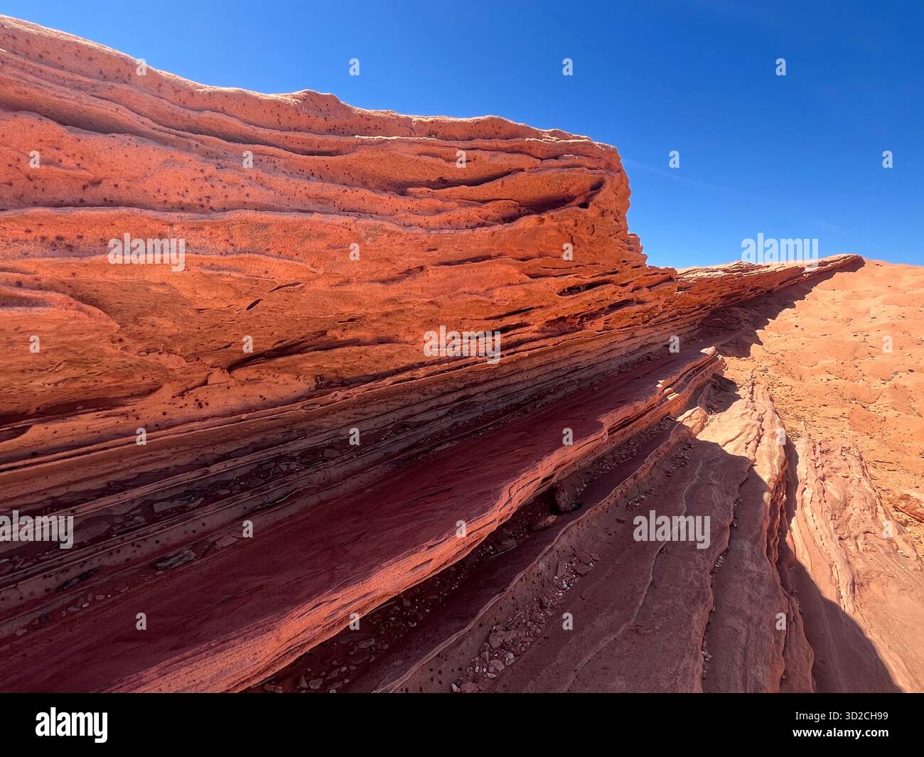 Grand Canyon : paysage désertique, plantes à fleurs, falaises de grès et rivière - Image de stock capturée avec un smartphone