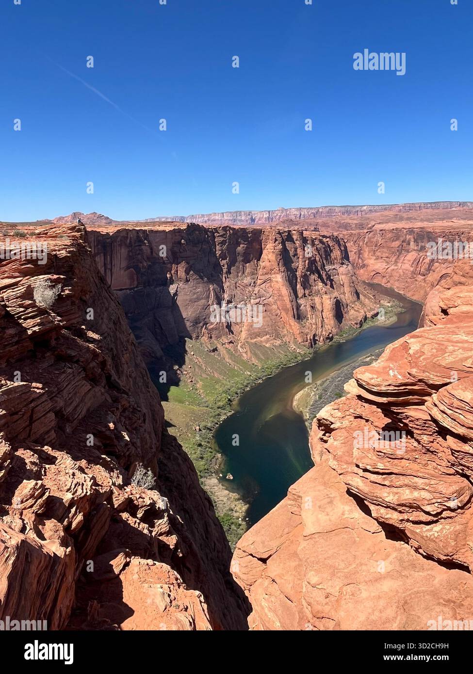 Grand Canyon : paysage désertique, plantes à fleurs, falaises de grès et rivière - Image de stock capturée avec un smartphone
