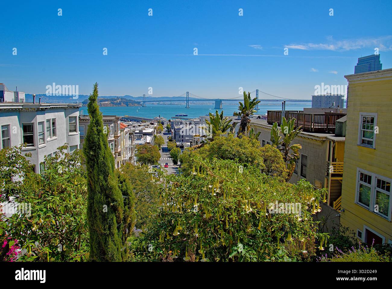 Vue depuis le haut des escaliers Filbert Street, San Francisco Banque D'Images