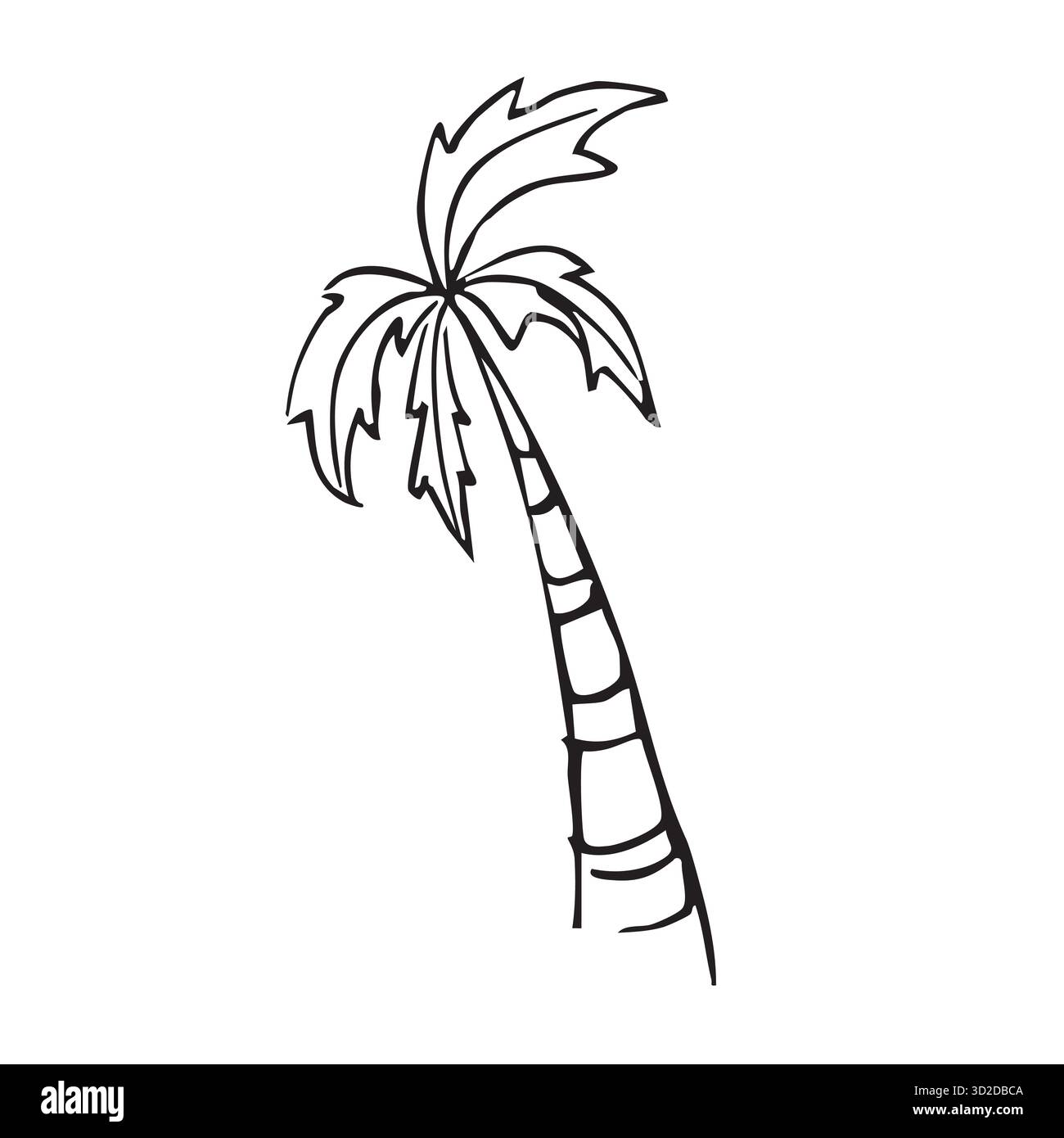 Contour noir doodle avec palmier Illustration de Vecteur