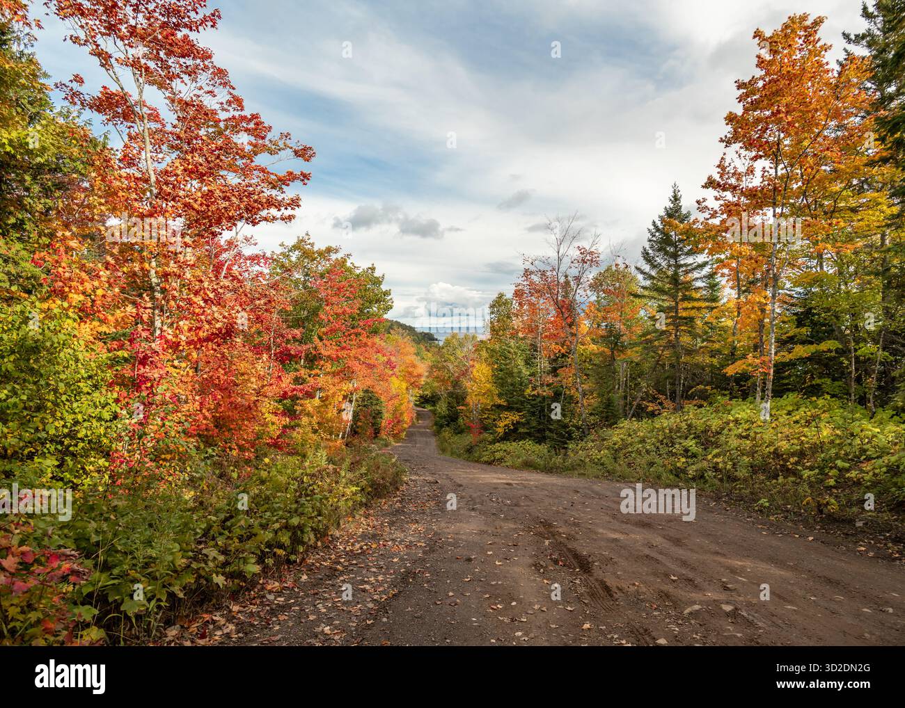 Smith's Fisheries Rd, lac supérieur, Grant, Michigan. Banque D'Images