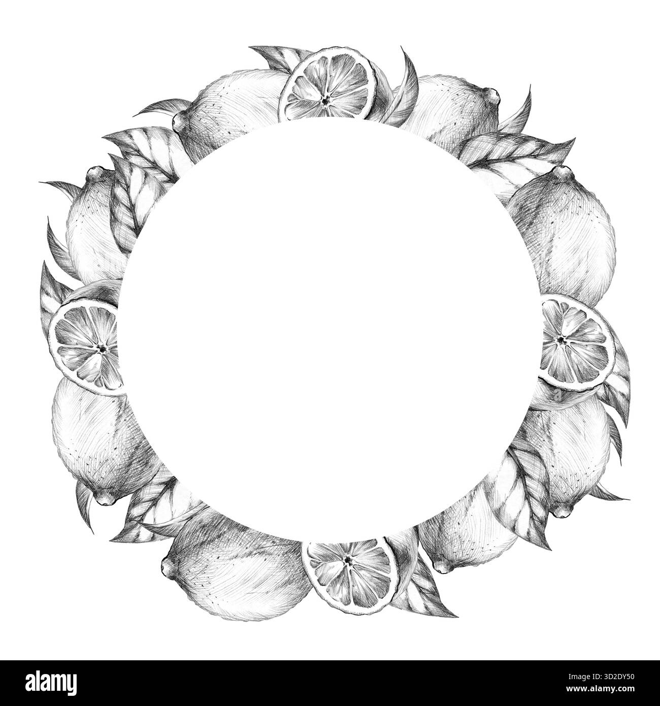 fruits de citron, feuilles, fleurs, branche d'arbre, cadre rond, croquis au crayon dessiné à la main, fruits tropicaux frais texturés, modèle, dessin d'éclosion d'agrumes Banque D'Images