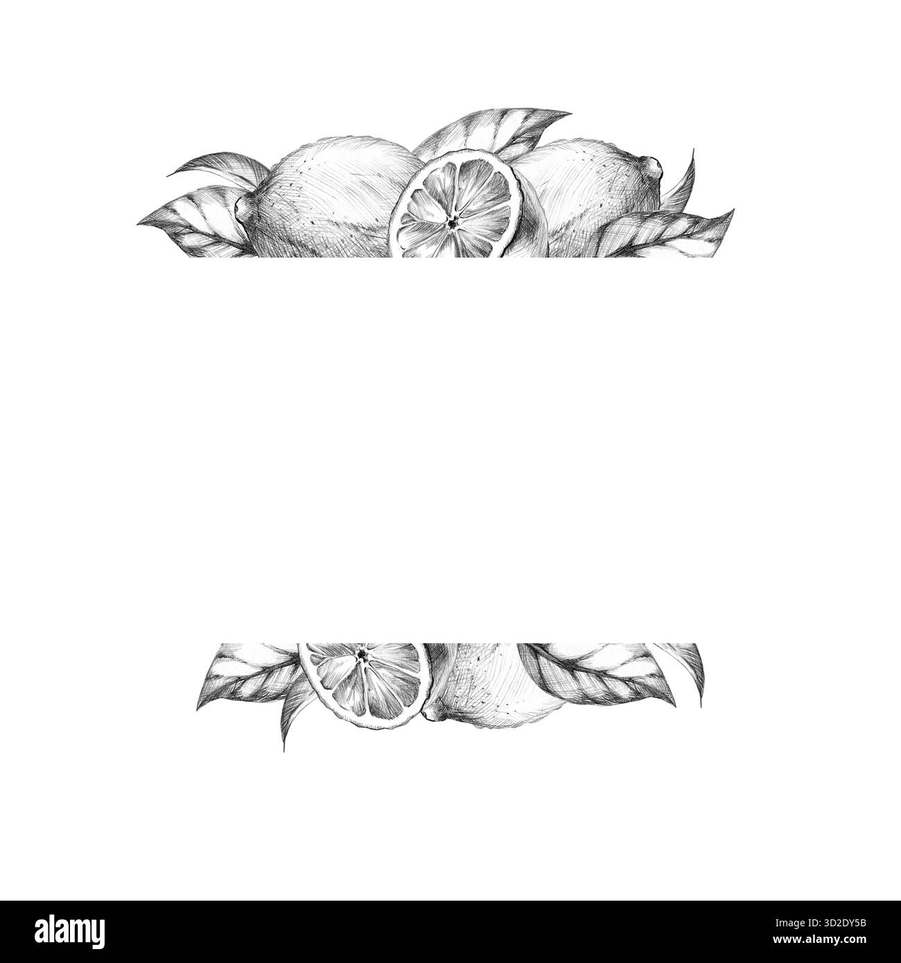 branche de citron, fruits, feuilles, fleurs, croquis au crayon dessiné à la main, fruits tropicaux frais texturés, modèle, dessin d'éclosion d'agrumes, blac ombré Banque D'Images