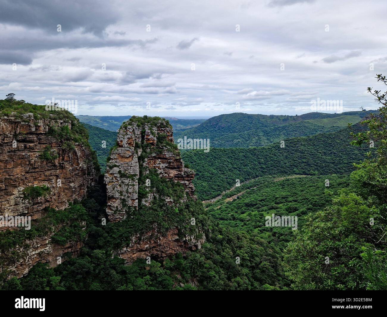 Canyon verdoyant de la gorge d'Oribi, près de Durban, Afrique du Sud. - Image de stock capturée avec un smartphone