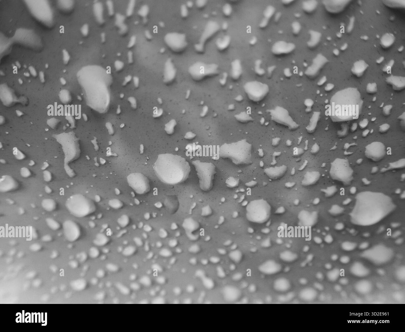 Gouttelettes d'eau de focalisation sélective sur la voiture blanche avec de petites taches de poussière Banque D'Images