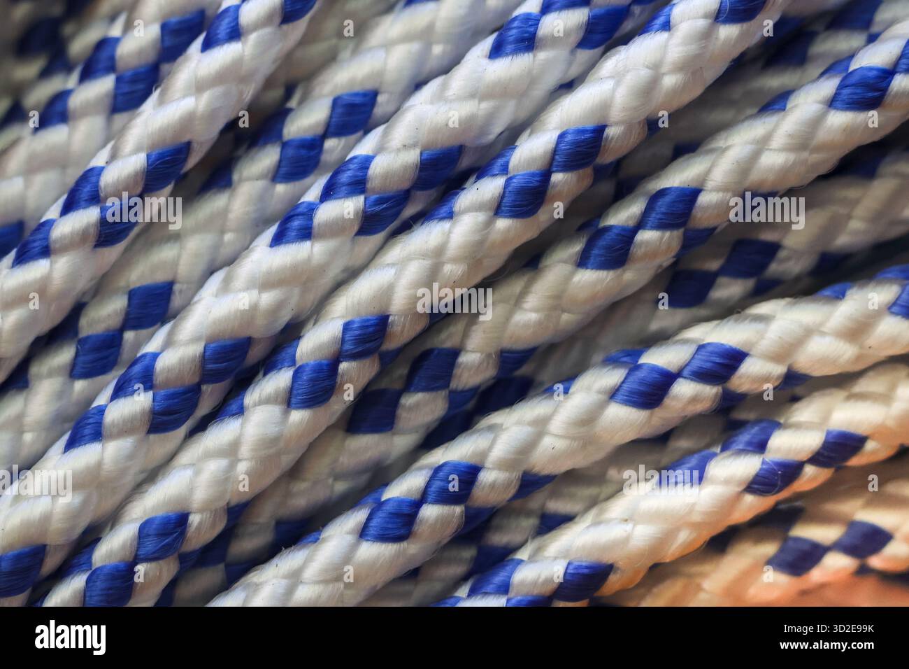 Vue rapprochée de la texture forte de corde en nylon tressé bleu et blanc. cordon résistant montrant un motif détaillé, parfait pour les arrière-plans nautiques ou utilitaires Banque D'Images
