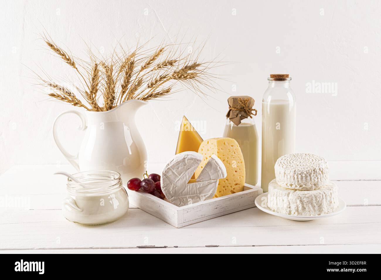 De nombreuses variétés de fromage sur une planche, des bouteilles de lait, du fromage cottage, de la crème sure, un bouquet d'épis de pain sur une table en bois. La fête de Shavuot Banque D'Images