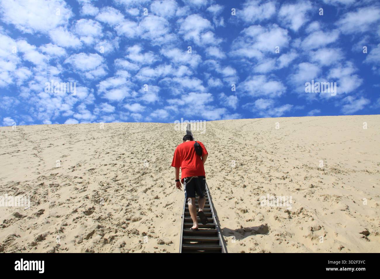 Dune du Pilat, France, 08/25/2011 Description : homme grimpant les escaliers en bois raides jusqu'au sommet de la dune du Pilat à Arcachon, France Banque D'Images