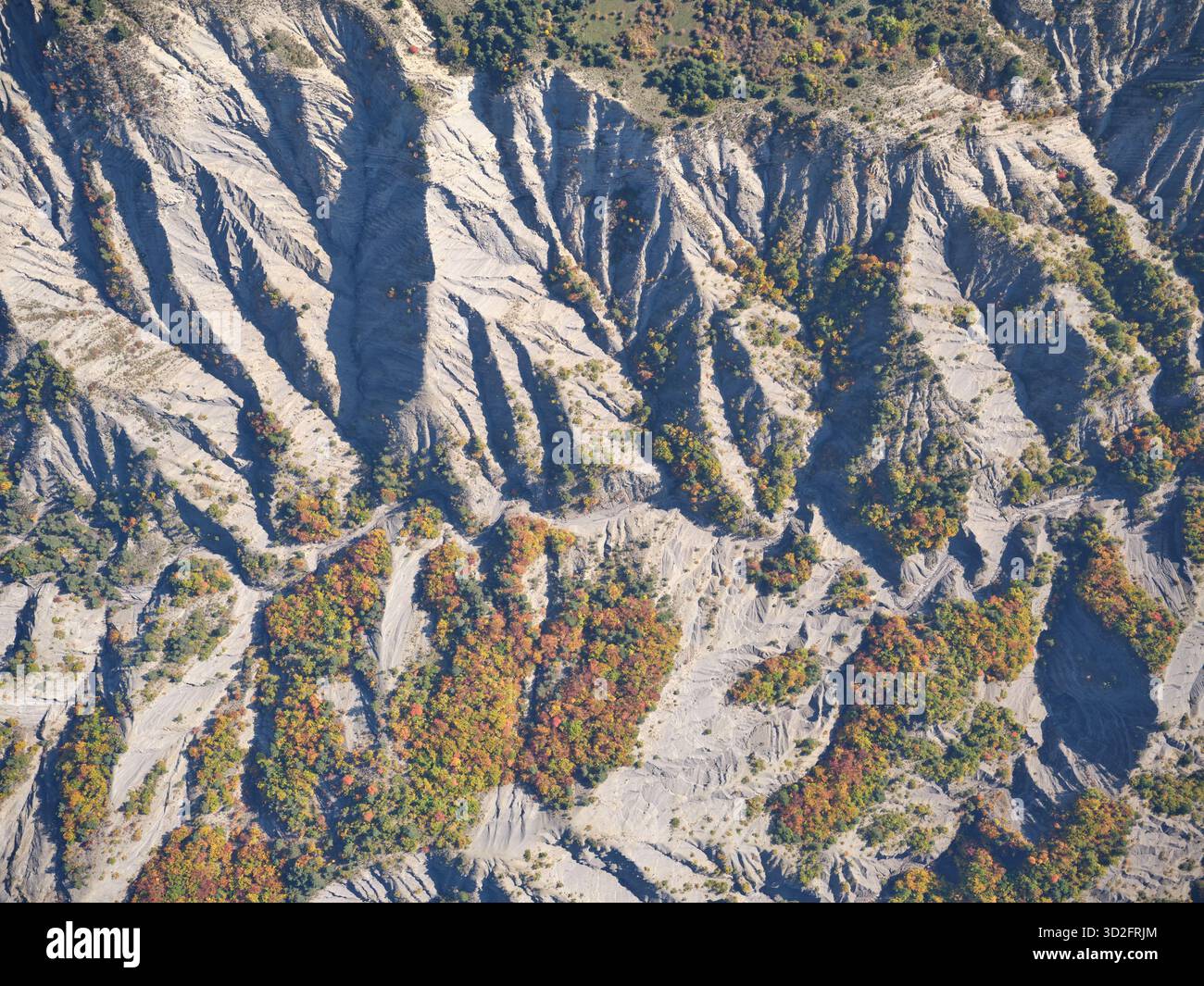 VUE AÉRIENNE. Paysage intéressant de badlands grisâtres et quelques bosquets affichant leurs couleurs automnales. Esparron, Hautes-Alpes, France. Banque D'Images