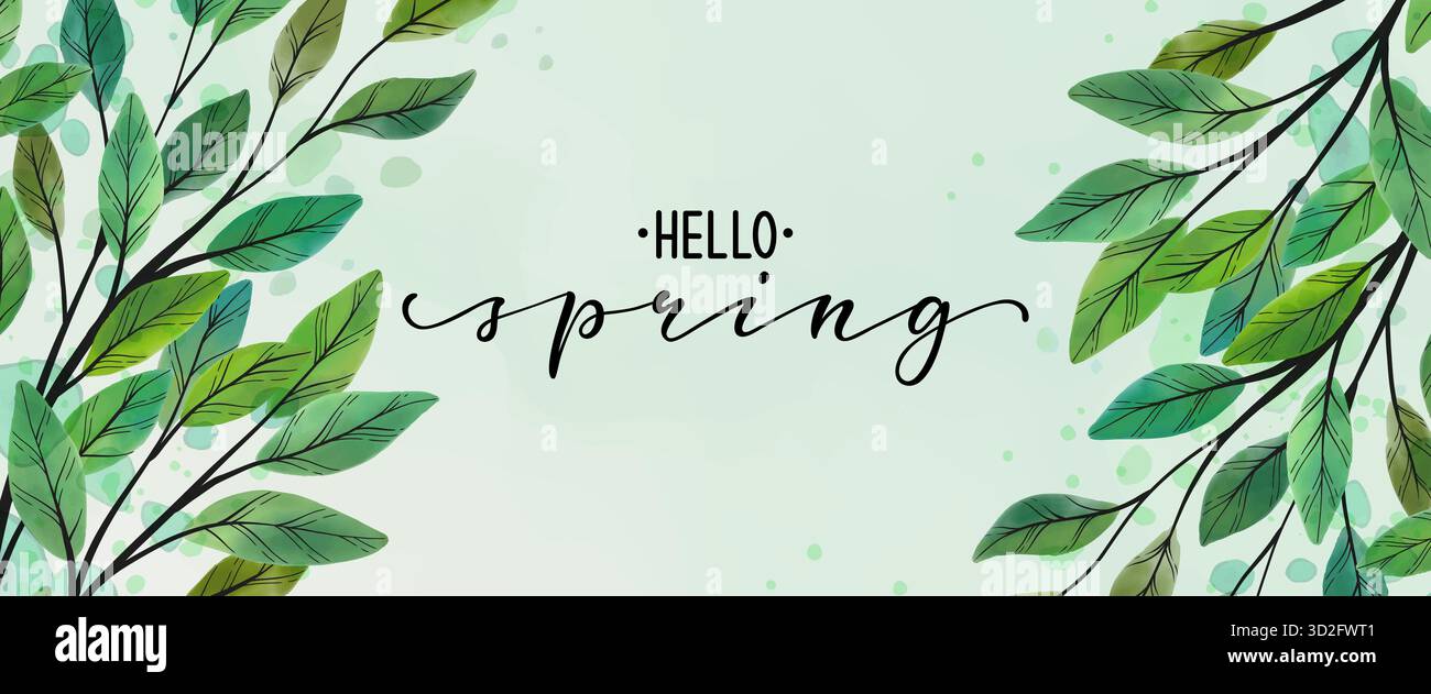 Hello Spring text. Fond de feuilles vert d'art abstrait. dessinez à la main un contour vert et blanc des feuilles et des coups de pinceau. Arrière-plan vectoriel Illustration de Vecteur