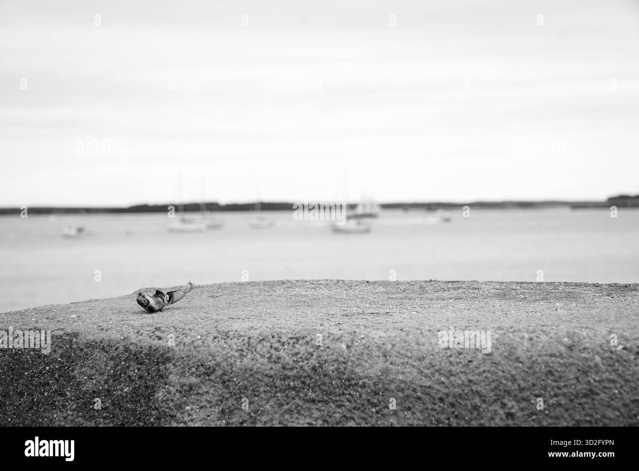 Image en noir et blanc d'une griffe de crabe sur une jetée altérée à côté de l'eau calme du port, évoquant l'immobilité côtière et le minimalisme axé sur la texture. Banque D'Images