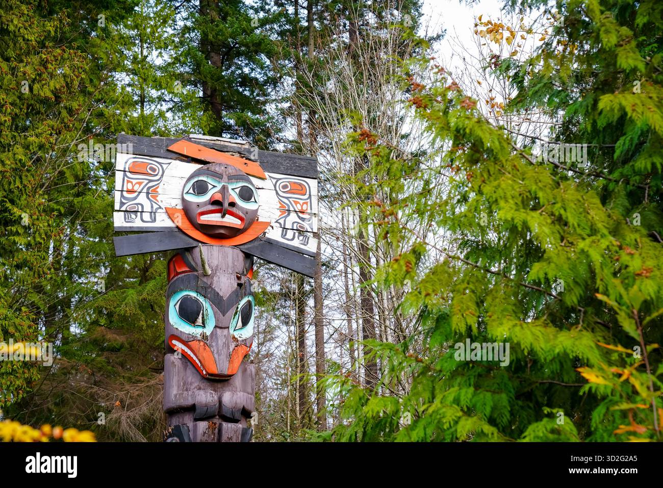 Un totem sculpté et peint s'élève à travers la forêt du parc Stanley, mettant en valeur l'art traditionnel indigène et les couleurs vives. Banque D'Images