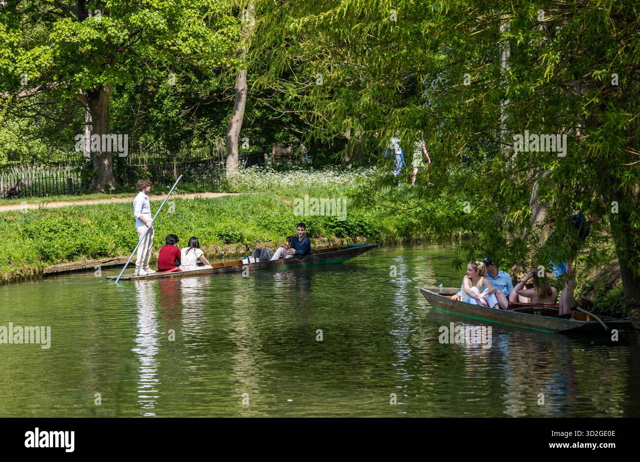 Les gens appréciant le punting sur la rivière Cherwell par une journée ensoleillée, Oxford, Angleterre, Royaume-Uni Banque D'Images