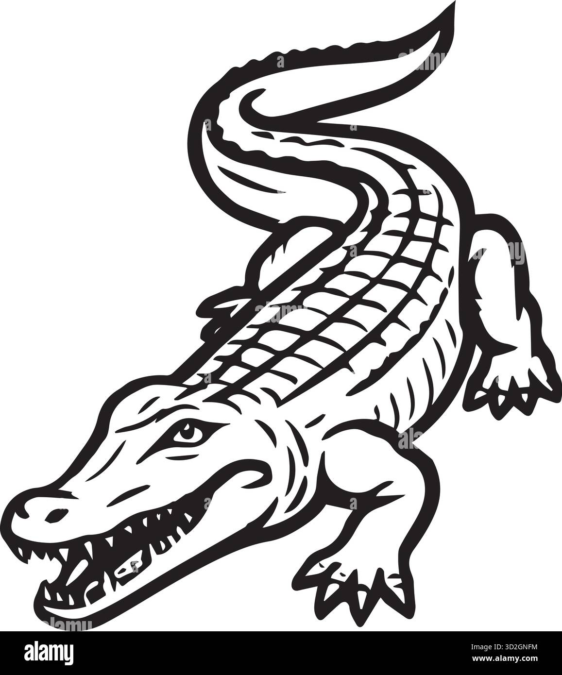 crocodile de dessin animé isolé sur blanc. Illustration de Vecteur