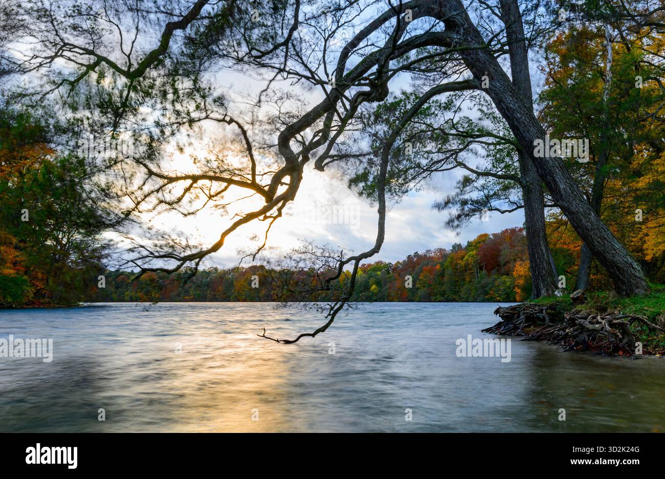 30 octobre 2025, Mecklembourg-Poméranie occidentale, Feldberg : le vent souffle sur le lac automnal Schmaler Luzin dans le parc naturel Feldberger Seenlandschaft à la lumière du soleil couchant. Le lac, connu pour son excellente qualité de l’eau et sa très bonne visibilité, est encastré dans une moraine terminale et se caractérise par des berges abruptes et une végétation riche et originale. Vastes forêts, collines, vallées, plaines sablonneuses, dunes intérieures impressionnantes, vous trouverez des lacs clairs et des landes cachées, des bâtiments historiques, des sites du patrimoine local et des musées dans le parc naturel Feldberger Seenlandschaft. Ce di Banque D'Images