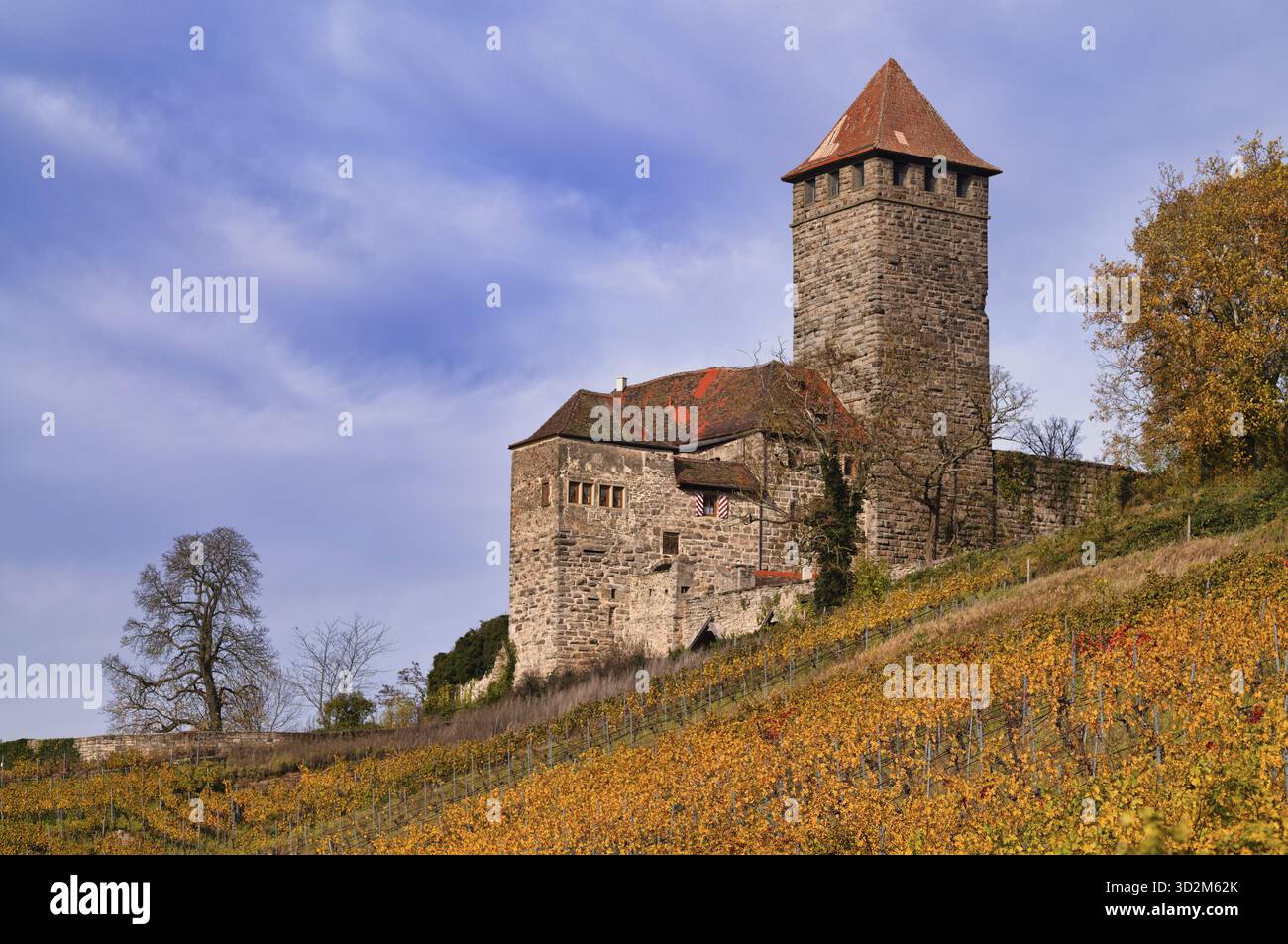 Donjon, tour, château de Lichtenberg, Oberstenfeld, Bottwartal, Loewensteiner montagnes, vignoble, vignes, vignes, viticulture, couleurs d'automne, automne, Baden- Banque D'Images