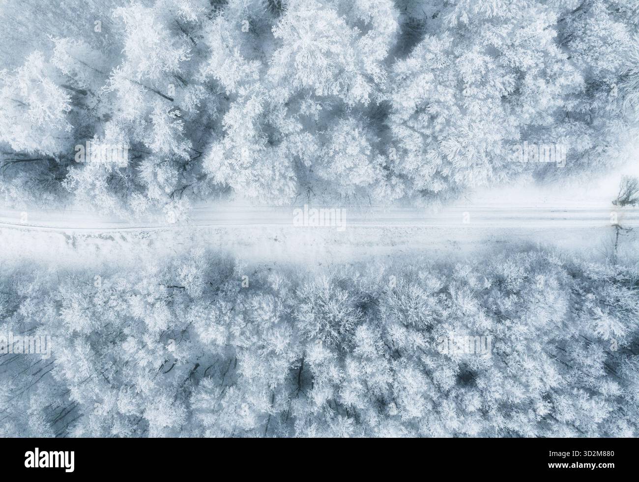 Vue aérienne de la forêt d'hiver couverte de neige. Photographie de drone - image panoramique magnifiques arbres givré, noël, Bonne Année. Banque D'Images