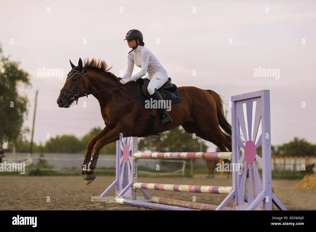 Cheval de dressage et cavalier en uniforme pendant la compétition de saut équestre Banque D'Images