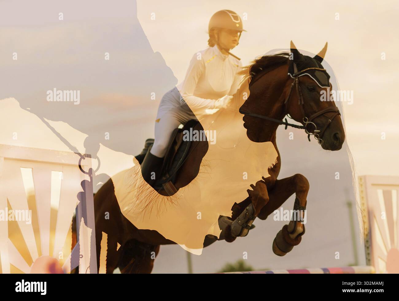Silhouette de jockey femme avec son cheval préparant le spectacle de compétition de saut. Image à expositions multiples Banque D'Images