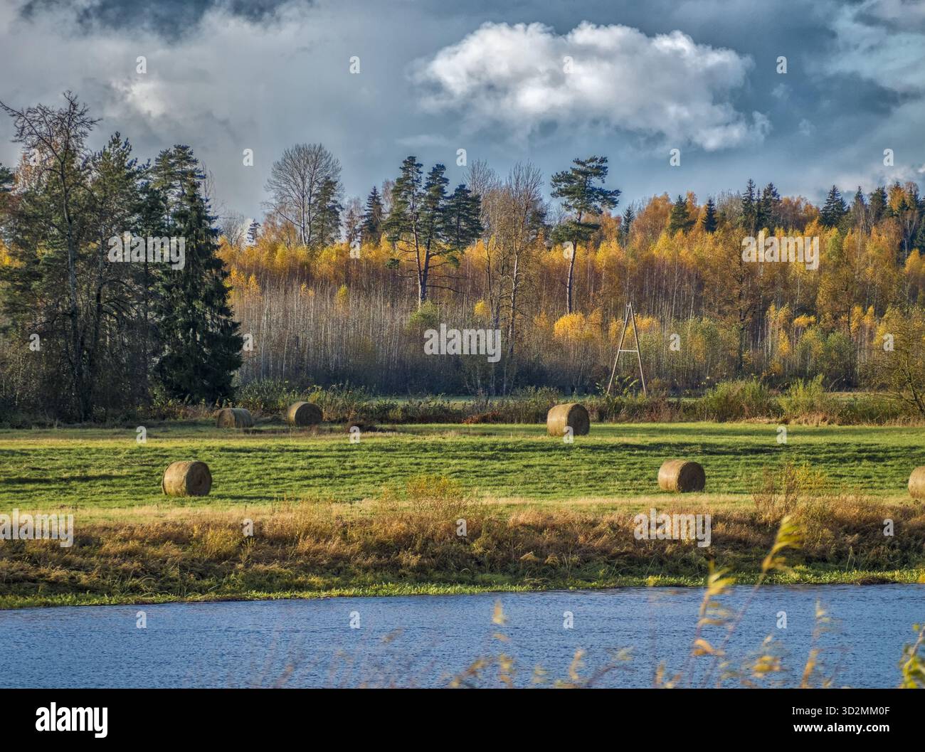 Un paysage rural d'automne avec des balles de foin dans un champ, une rivière et une forêt colorée Banque D'Images