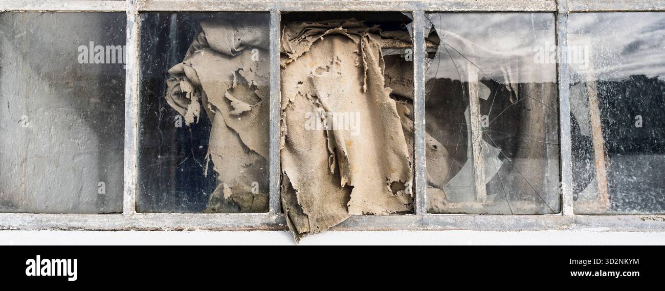 VIEUX CHIFFONS EN TOILE VISIBLES À TRAVERS LA FENÊTRE EN VERRE BRISÉ NEWLYN HARBOUR FISH MARKET RAMENANT À LA MAISON LES SARDINES DE DÉBARQUEMENT Banque D'Images