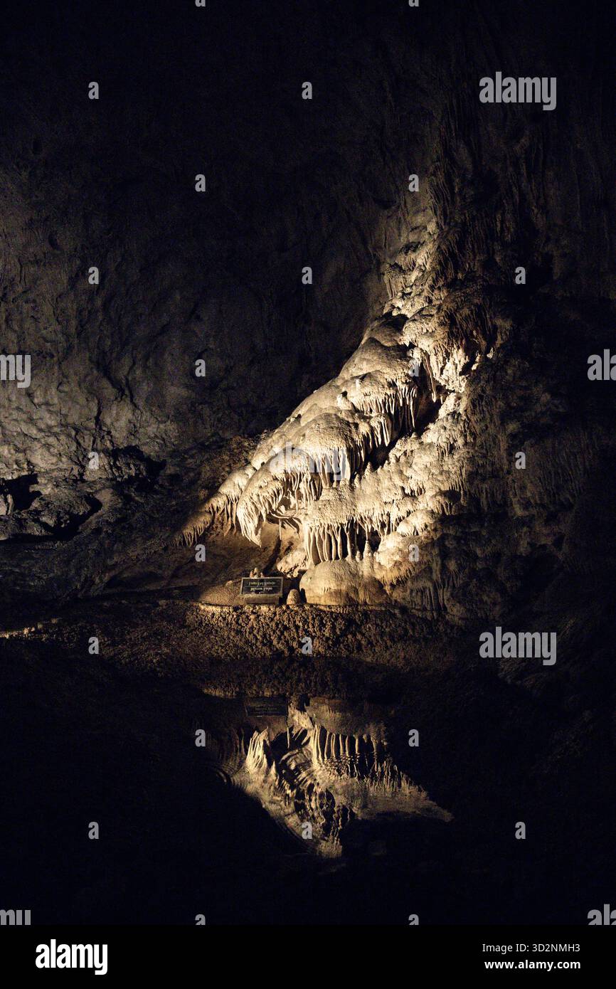 Mirror Lake in the Big Room, Carlsbad Caverns, Nouveau-Mexique, États-Unis Banque D'Images