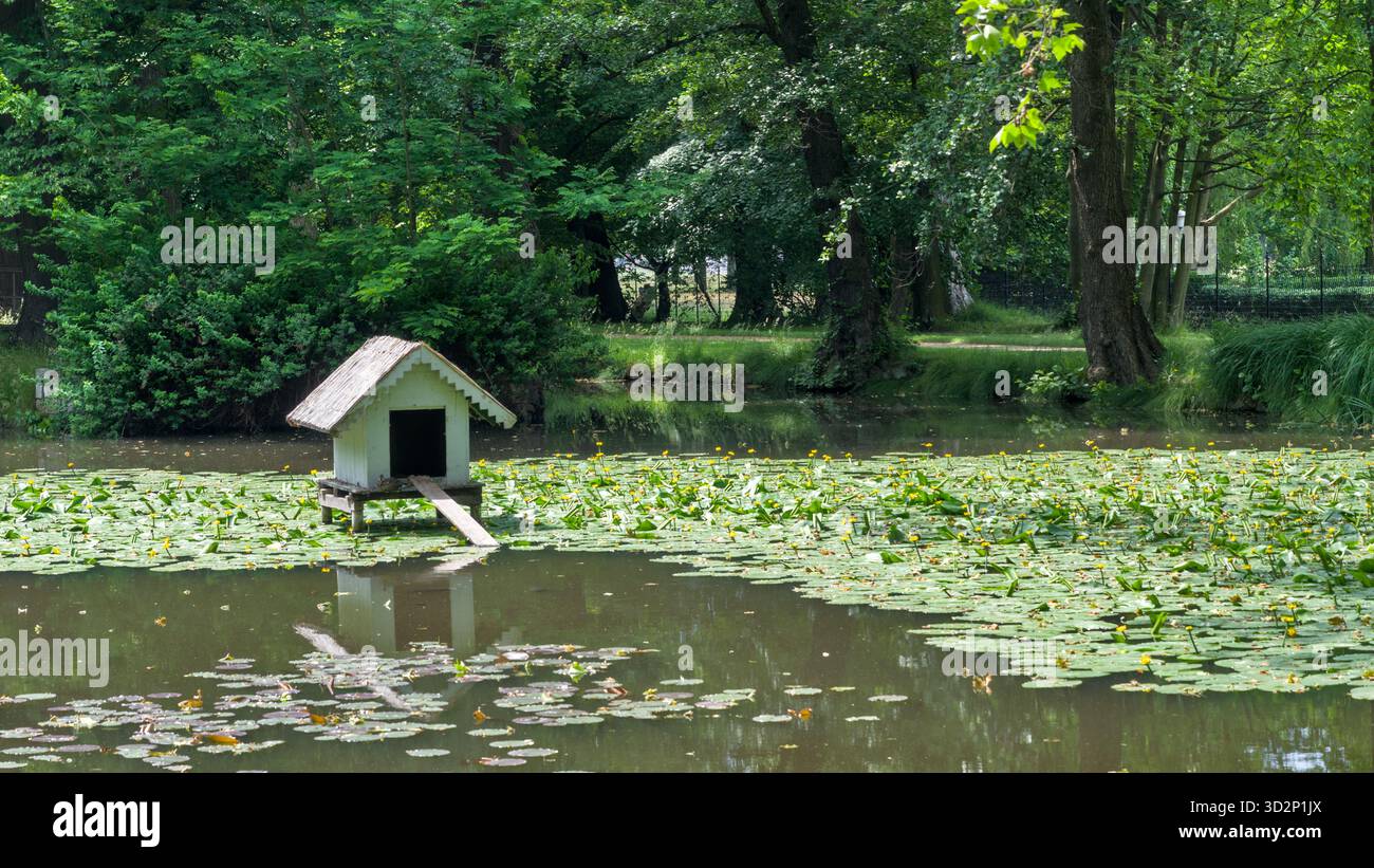 Vue sur un petit étang dans le parc du Schloss Pillnitz, entouré de verdure et de jardins sereins. Banque D'Images