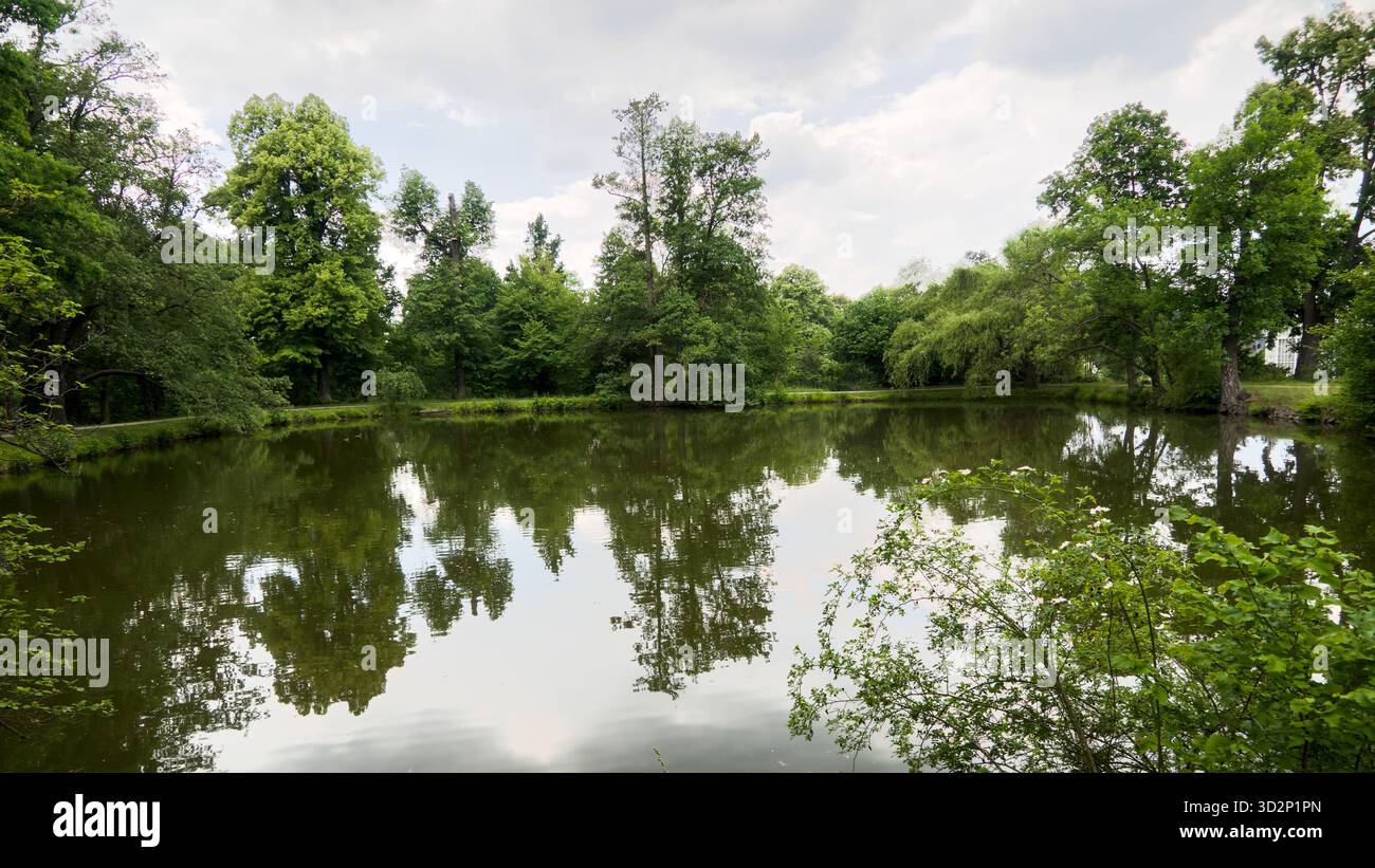 Vue sur un petit étang dans le parc du Schloss Pillnitz, entouré de verdure et de jardins sereins. Banque D'Images