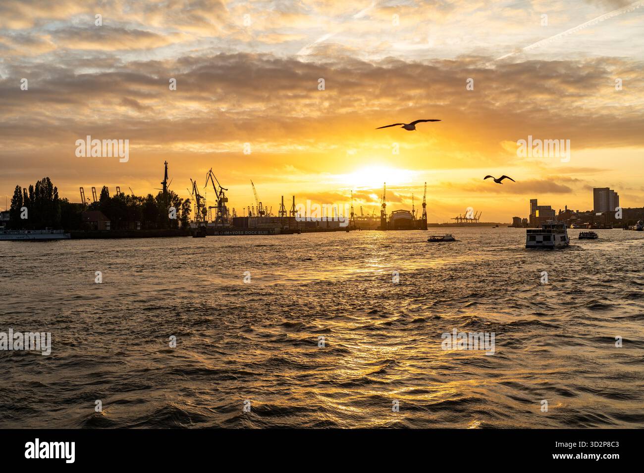Grues portuaires de Hambourg et bateaux au coucher du soleil sur l'Elbe Banque D'Images