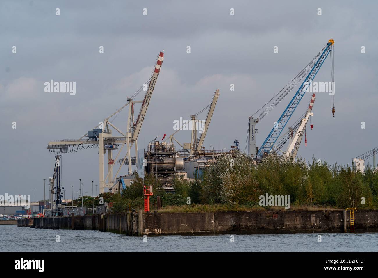 Grues à conteneurs et industrie portuaire à Hambourg, Allemagne, 10.10.2025 Banque D'Images