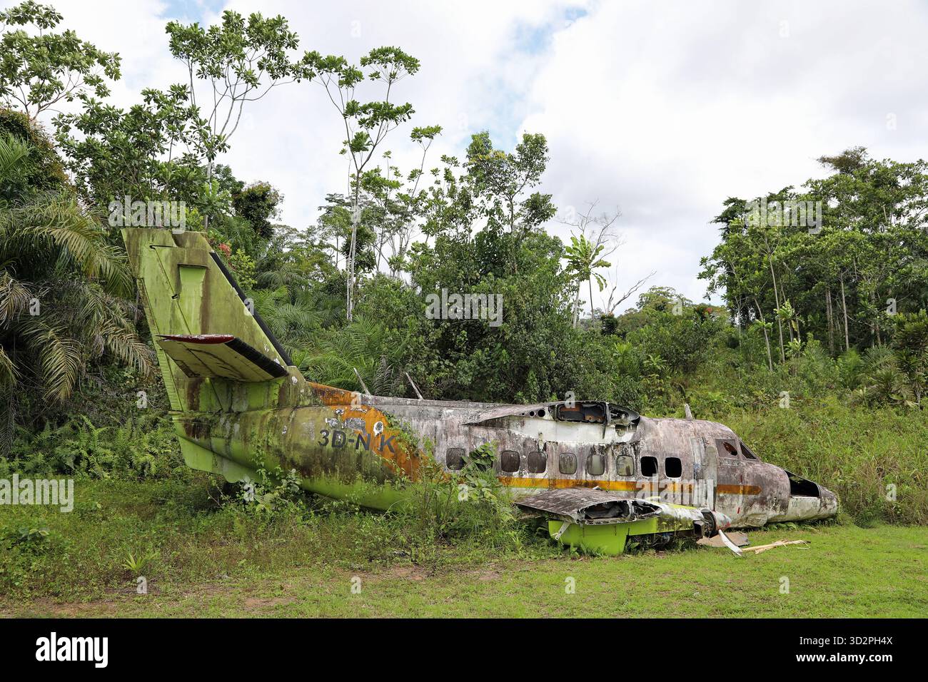 Restes d'un avion écrasé dans la forêt tropicale de Guinée équatoriale Banque D'Images