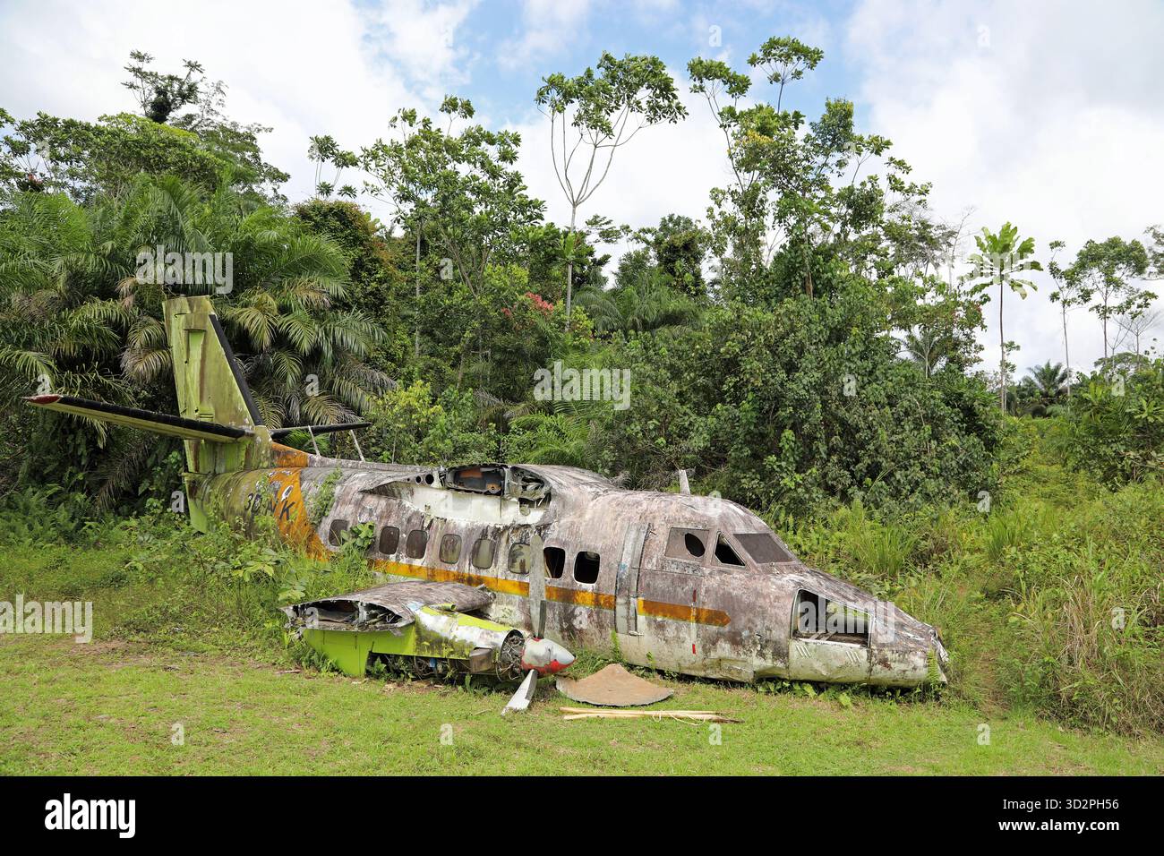 Restes d'un avion écrasé dans la forêt tropicale de Guinée équatoriale Banque D'Images
