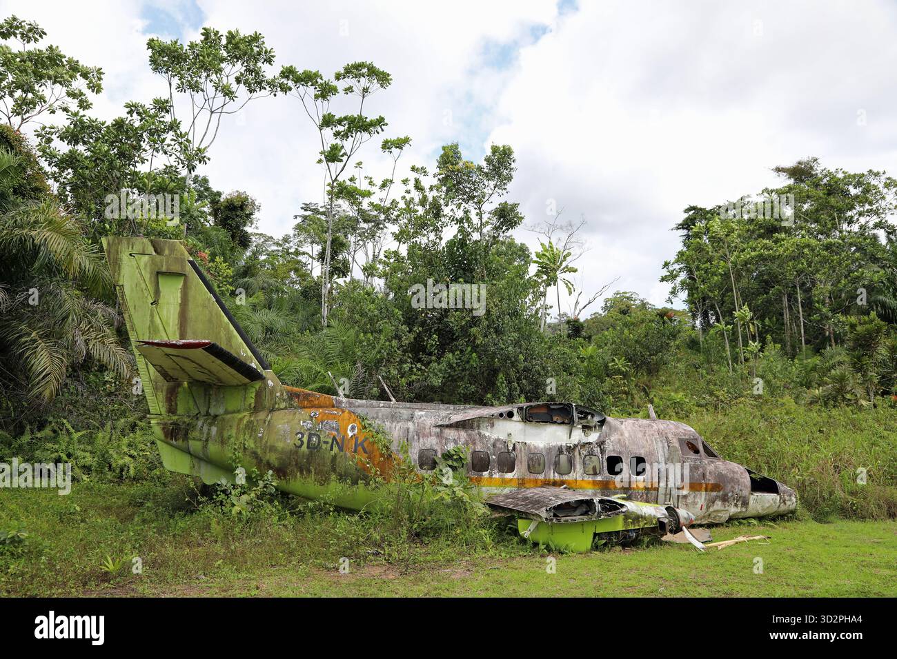 Restes d'un avion écrasé dans la forêt tropicale de Guinée équatoriale Banque D'Images