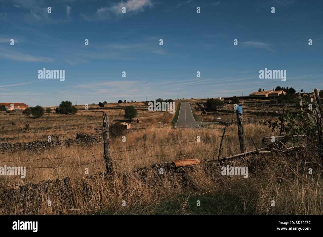 Route rurale solitaire à travers les champs secs en Castilla y León, Espagne Banque D'Images