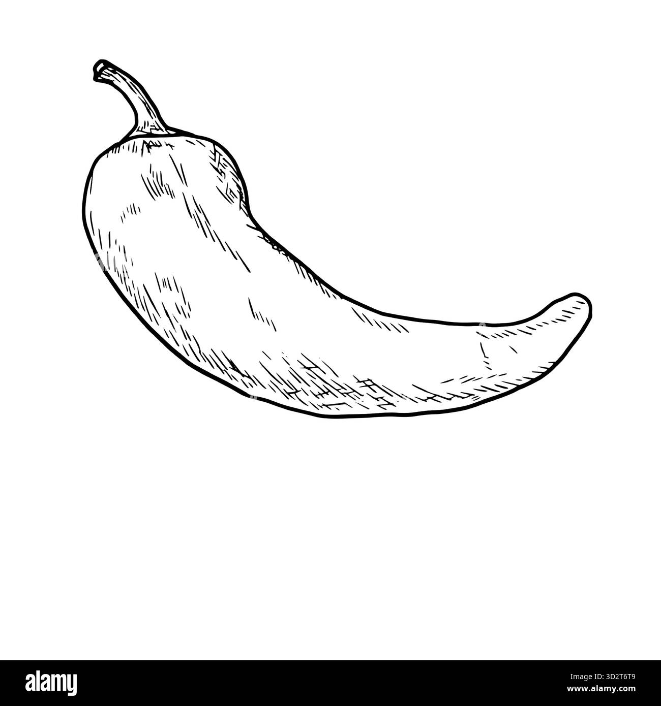 Piment fort, Chili, dessin simple, croquis noir et blanc. Illustration vectorielle. Légumes frais de la ferme mis en évidence sur un fond blanc. Le thème de Illustration de Vecteur