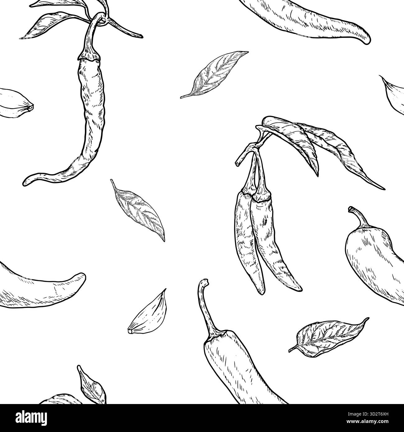 Piment fort, Chili et feuilles, modèle sans couture, croquis. Illustration vectorielle. Légumes frais de ferme isolés sur un fond blanc. Le thème de la santé Illustration de Vecteur