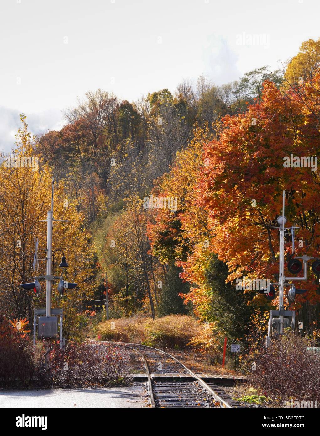 Passage à niveau au parc Montmorency Banque D'Images