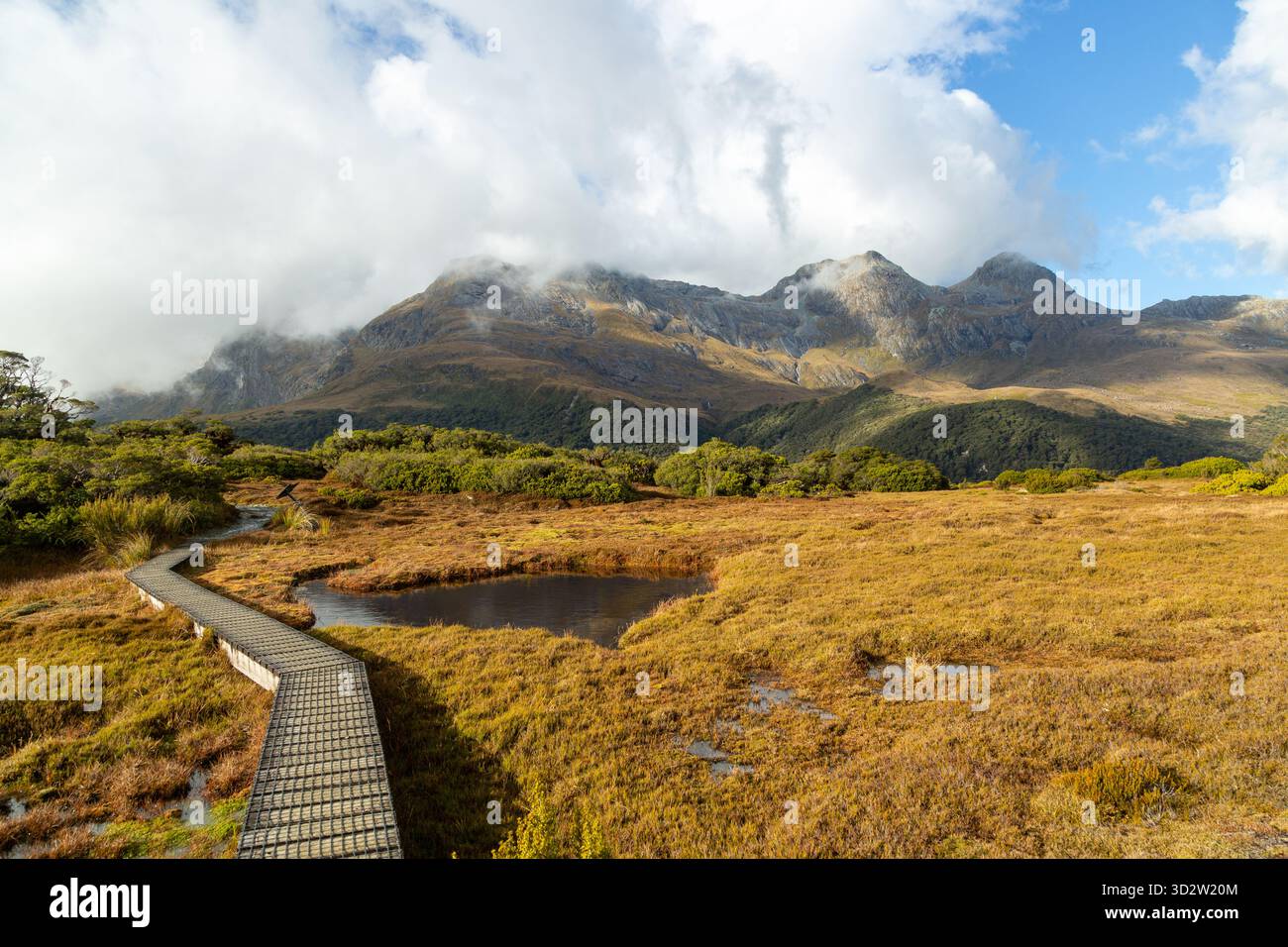 Une promenade en bois à travers la nature promenade au sommet de Key Summit, Fiordland, Île du Sud, Nouvelle-Zélande Banque D'Images