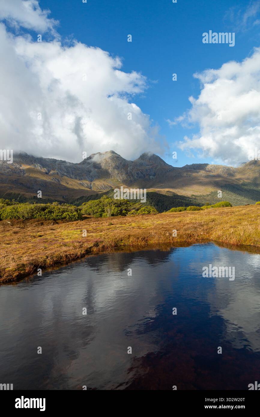 Un Tarn alpin sur la promenade dans la nature au sommet de la piste Key Summit, regardant vers les montagnes Ailsa du sud, Fiordland, Nouvelle-Zélande Banque D'Images