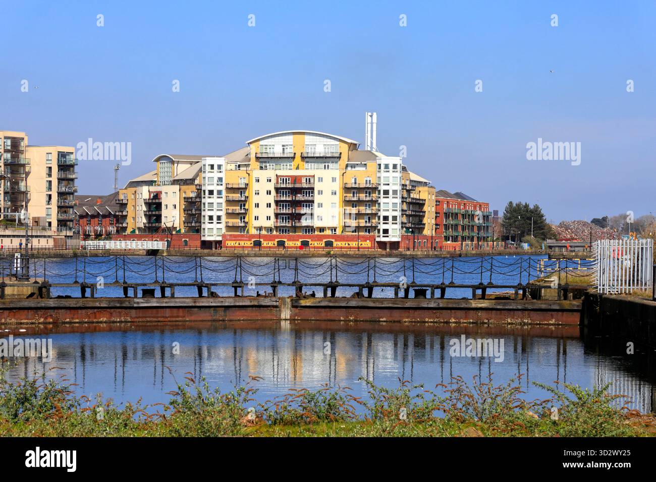 Vieilles portes et appartements à Roath Basin, Cardiff, pays de Galles du Sud. Prise en octobre 2025 Banque D'Images