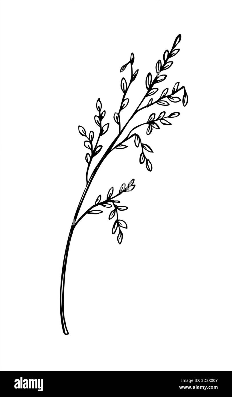 Herbe de roseau de prairie avec des graines monochrome vecteur illustration isolée peinte par des encres noires. Épi de champ avec croquis graphique de graines. Illustration de Vecteur
