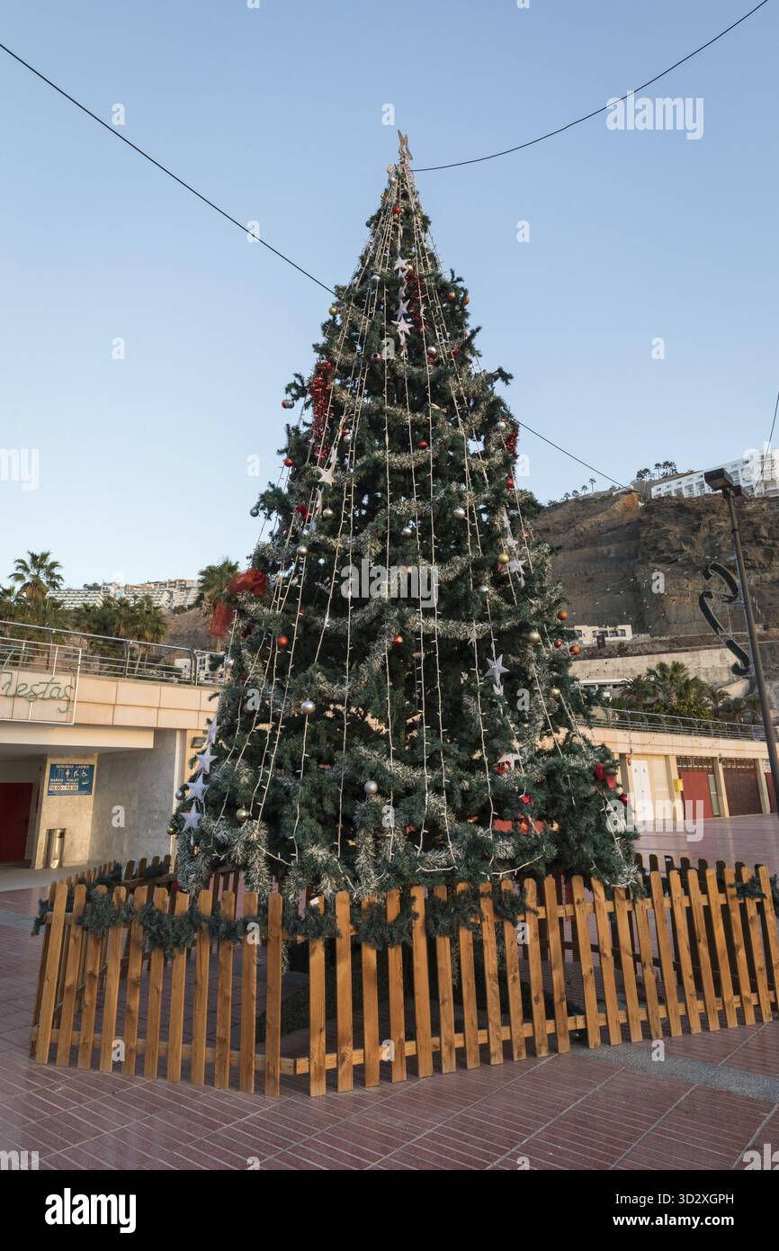 Arbre de Noël à Playa de Amadores plage sur l'île de Gran Canaria en Espagne Banque D'Images