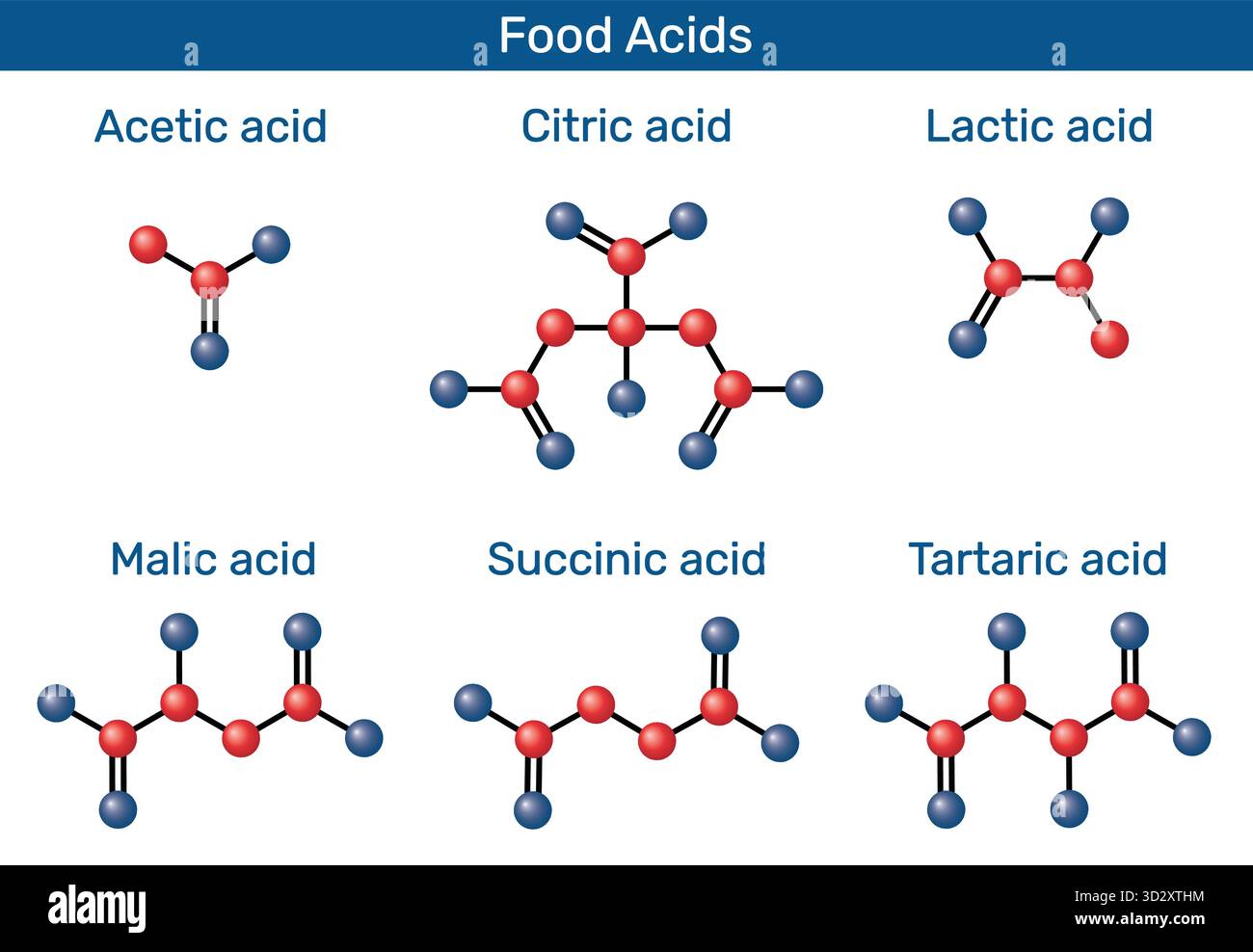 Molécules modèles 3D d'acides alimentaires. Acide acétique (E260), acide lactique (E270), acide citrique (E330), acide malique (E296), acide succinique (E363), acide tartrique (E33 Illustration de Vecteur